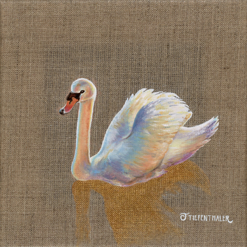 Ein weisser Schwan mit schimmernden Federn in Rosa und Blau, gemalt auf ungrundierte Leinwand.