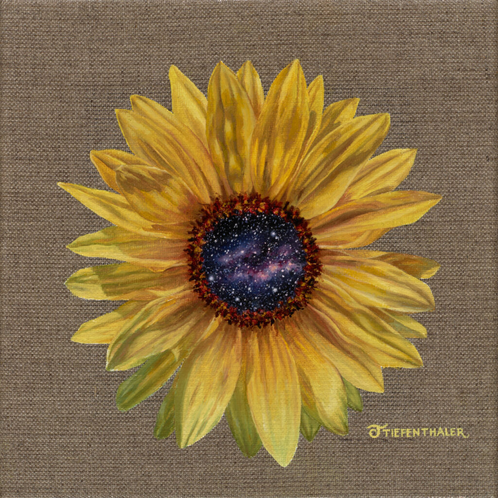Eine leuchtend gelbe Sonnenblume auf heller Leinwand, in ihrer Mitte öffnet sich ein Sternenhimmel.